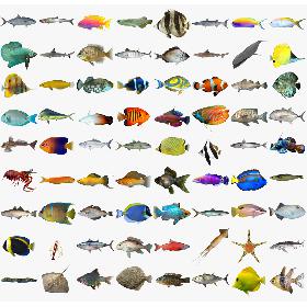 FFGX Next Generation Frigate 3D